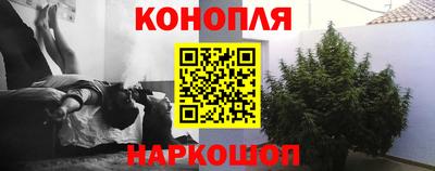 стаф Кулебаки