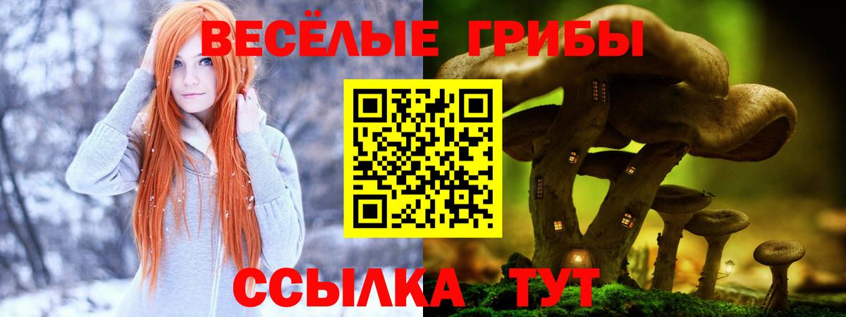 Галлюциногенные грибы Psilocybine cubensis  Вход с VPN  Татарск 