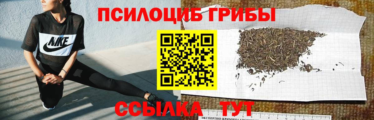 Галлюциногенные грибы MAGIC MUSHROOMS Татарск